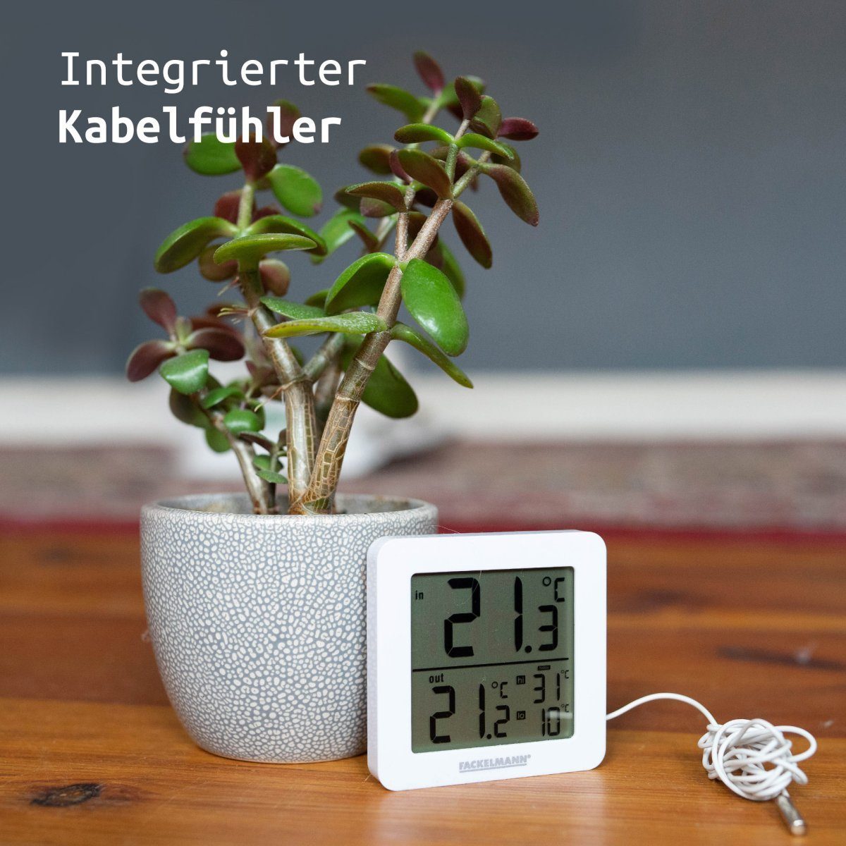 FACKELMANN Christian Häckl präsentiert Wetterstation