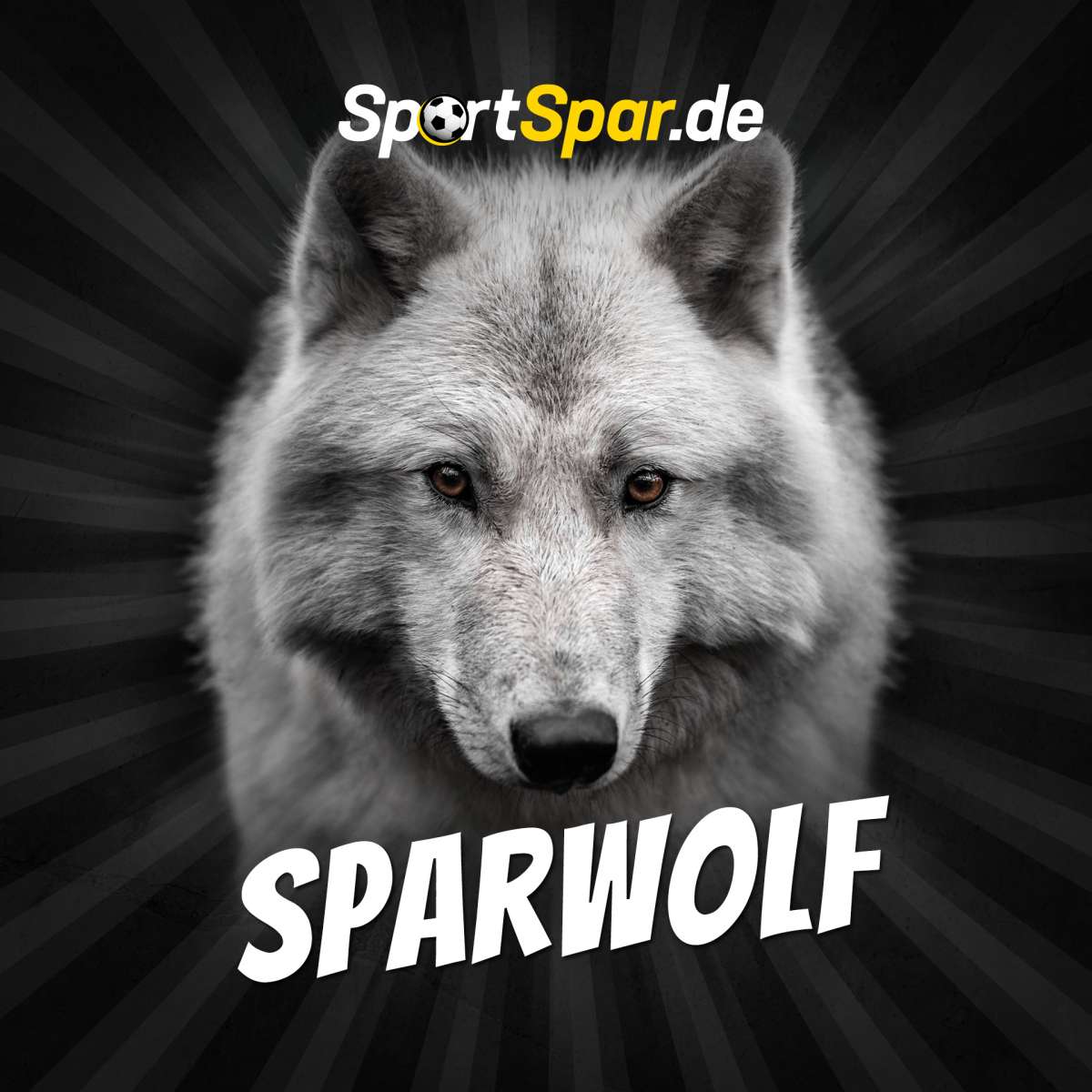SportSpar.de 
