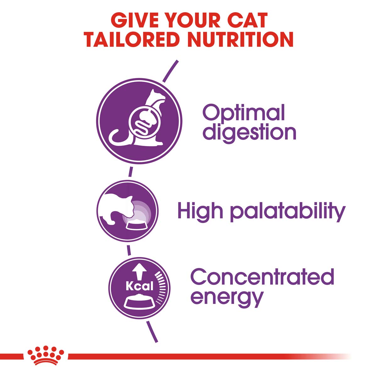 ROYAL CANIN SENSIBLE Trockenfutter 2kg + INTENSE BEAUTY Nassfutter 12x85g