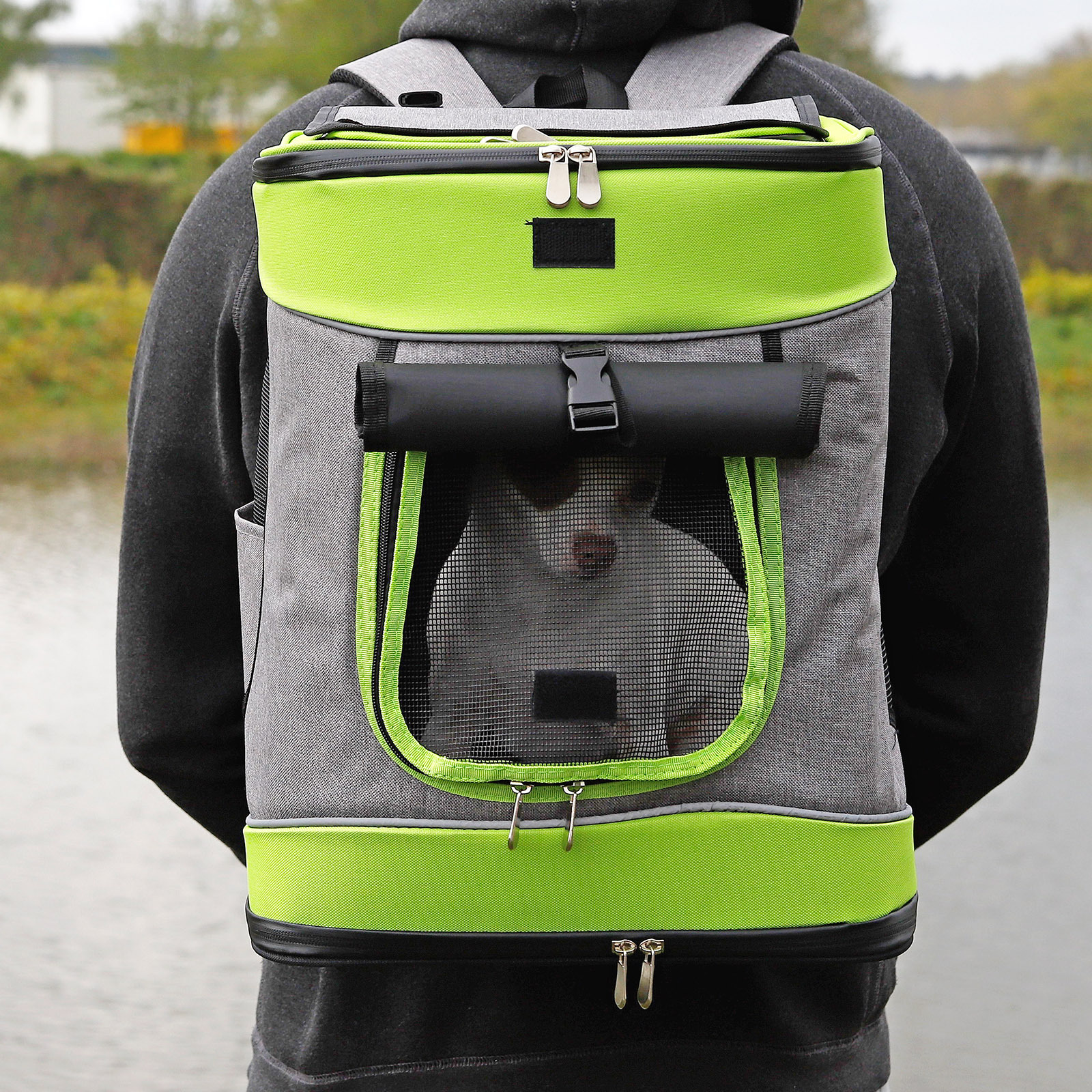 Lionto Tragetaschen Lionto Haustier-Rucksack grau/ grün