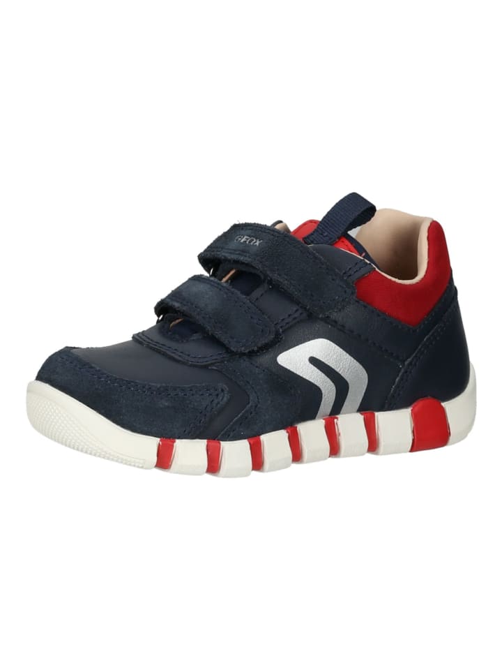 Geox Sneaker in Navy/Rot günstig kaufen