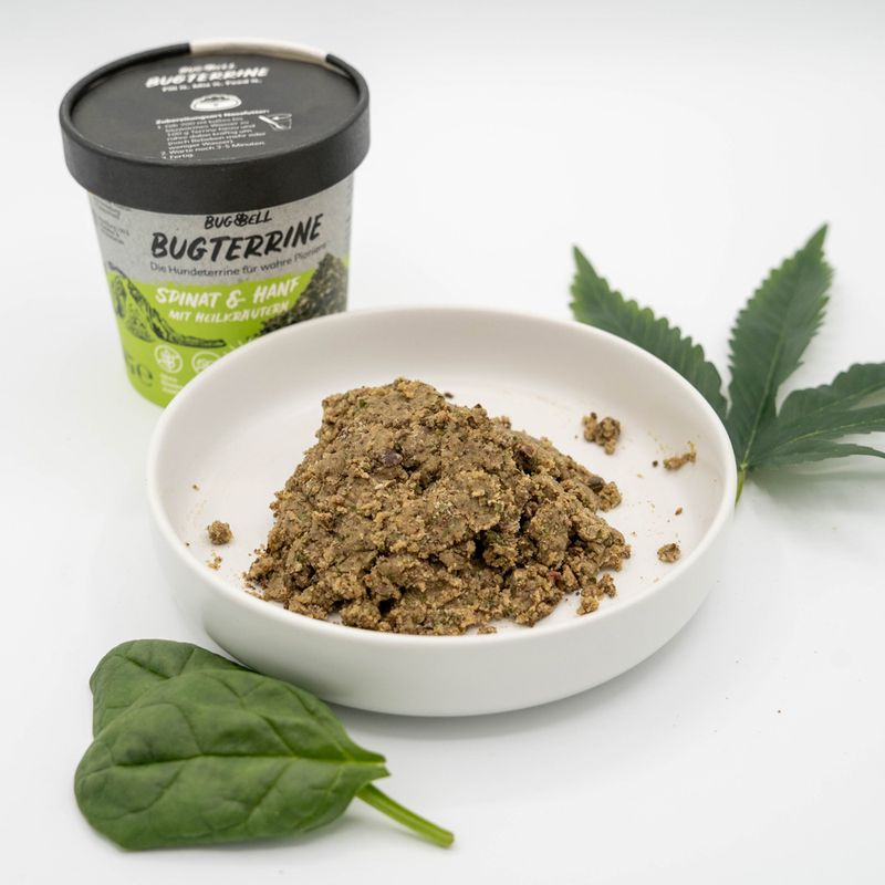 BugBell BugTerrine Adult Insekten, Spinat & Hanf