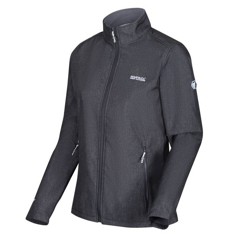 Regatta Connie IV Softshelljacke Damen
