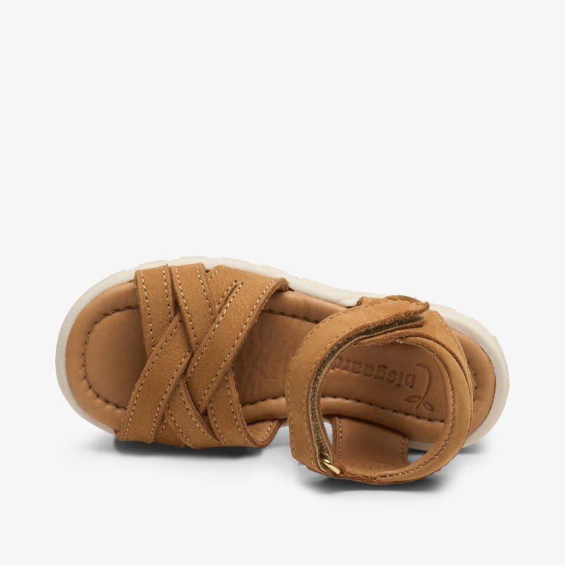 riley cognac - Braun