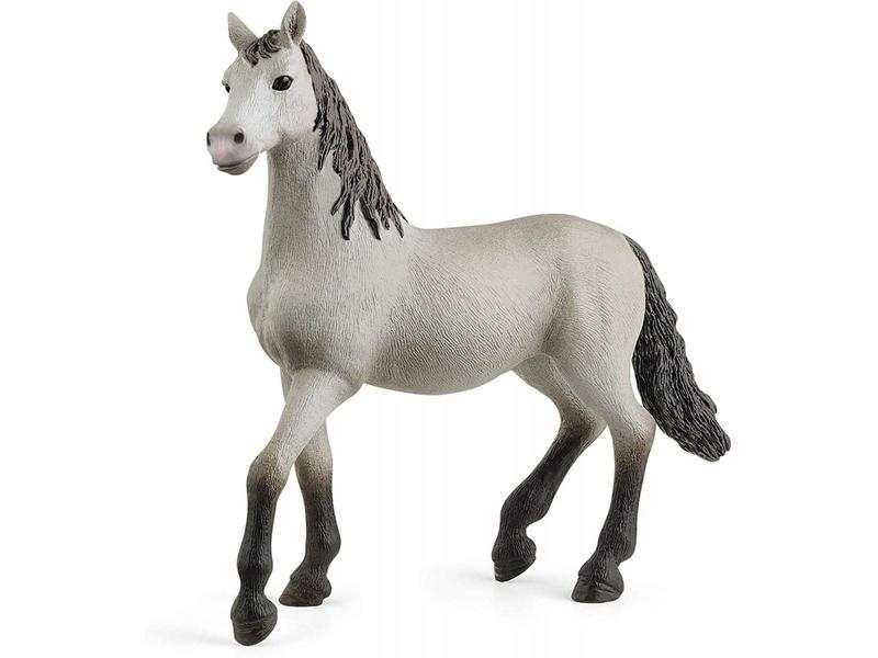 Poulain pure race espagnole