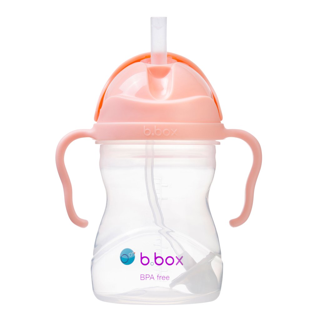 b.box Trinklernflasche mit dynamischen Strohhalm 240 ml – Tutti Frutti Gelato