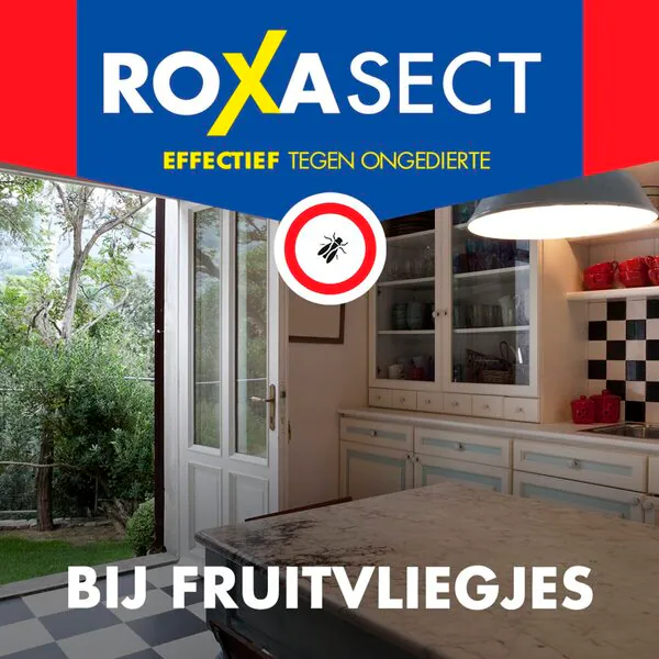 Roxasect-banaanikärpäset 1 kpl