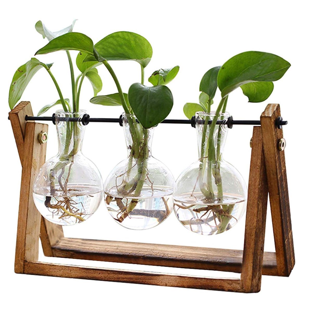 JedBesetzt Übertopf Flaschengarten, für Hydroponische Pflanzen,Holzständer 28*15*9cm