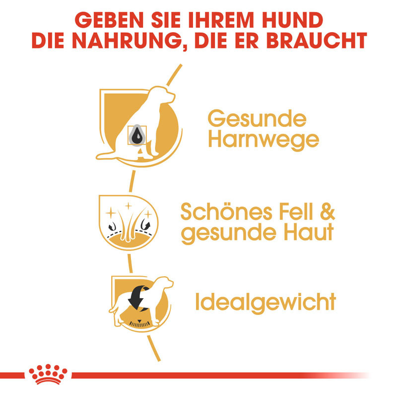 ROYAL CANIN Hundetrockenfutter ROYAL CANIN Bichon Frisé Adult 2x1,5 kg