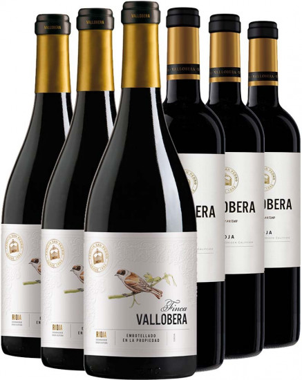 Vallobera Tempranillo Kennenlern-Paket - Bodegas Vallobera