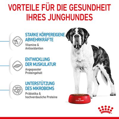 Royal Canin Giant Junior