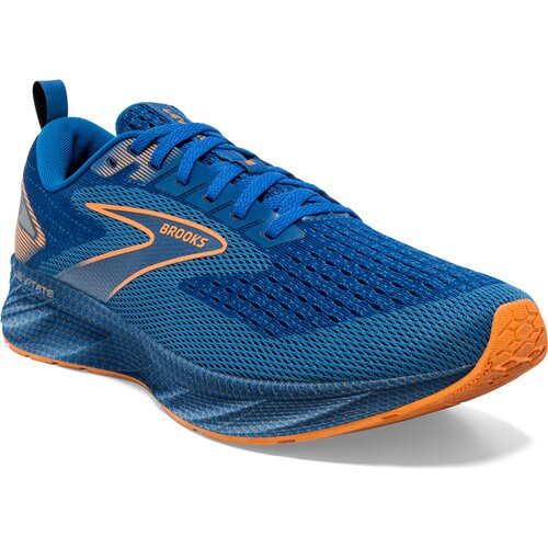 HERREN LAUFSCHUHE LEVITATE 6