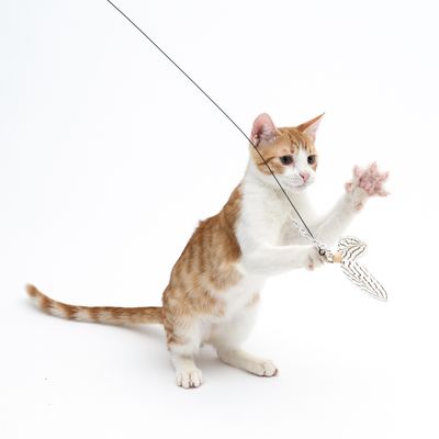 TIAKI Katzenangel Fliegende Federn
