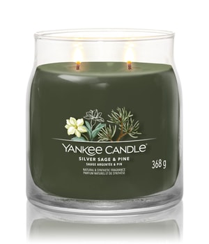 Yankee Candle Siver Sage & Pine Signature Jar Duftkerze-368 g
