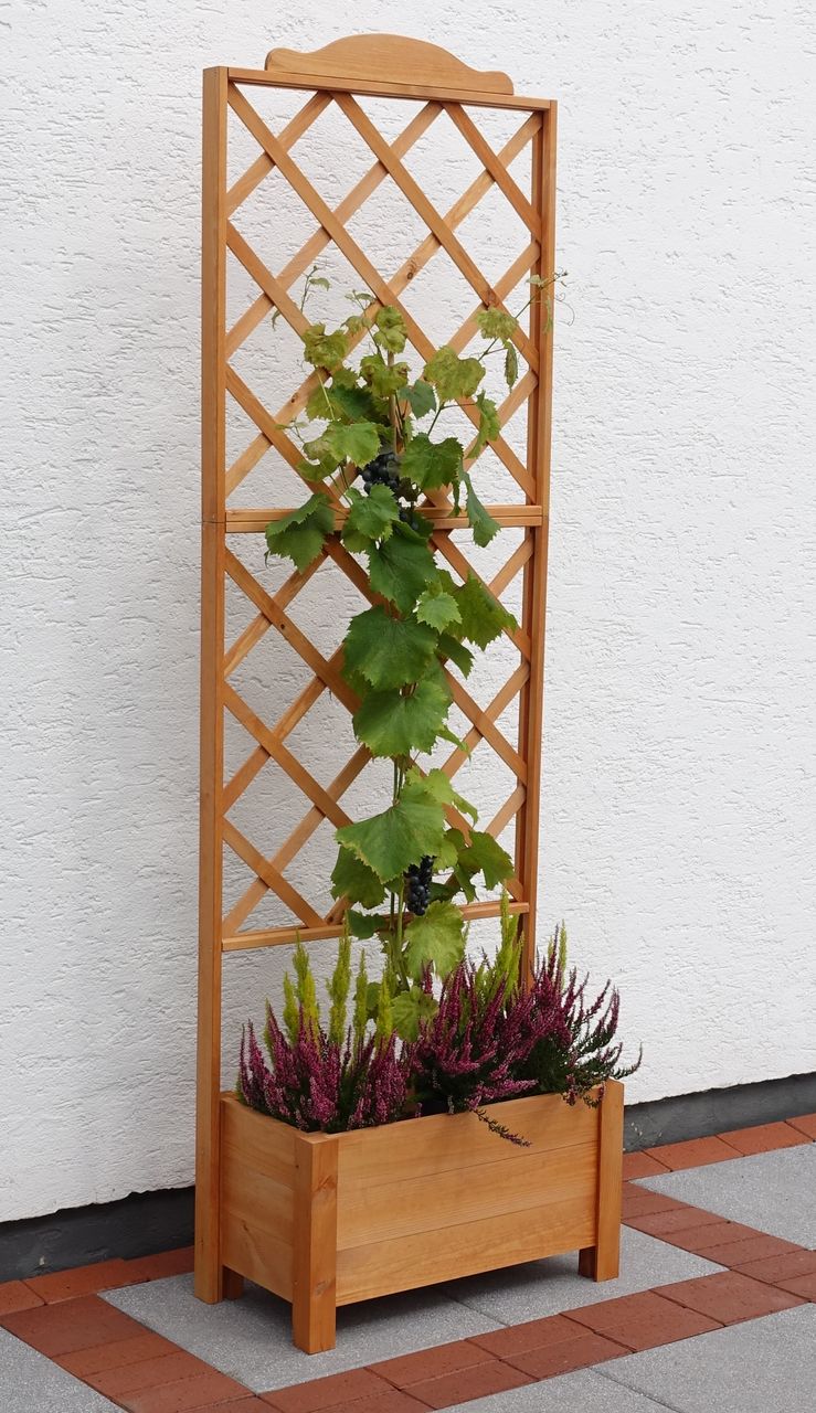 PROMEX Promadino Rankkasten Botanica 69x210 cm