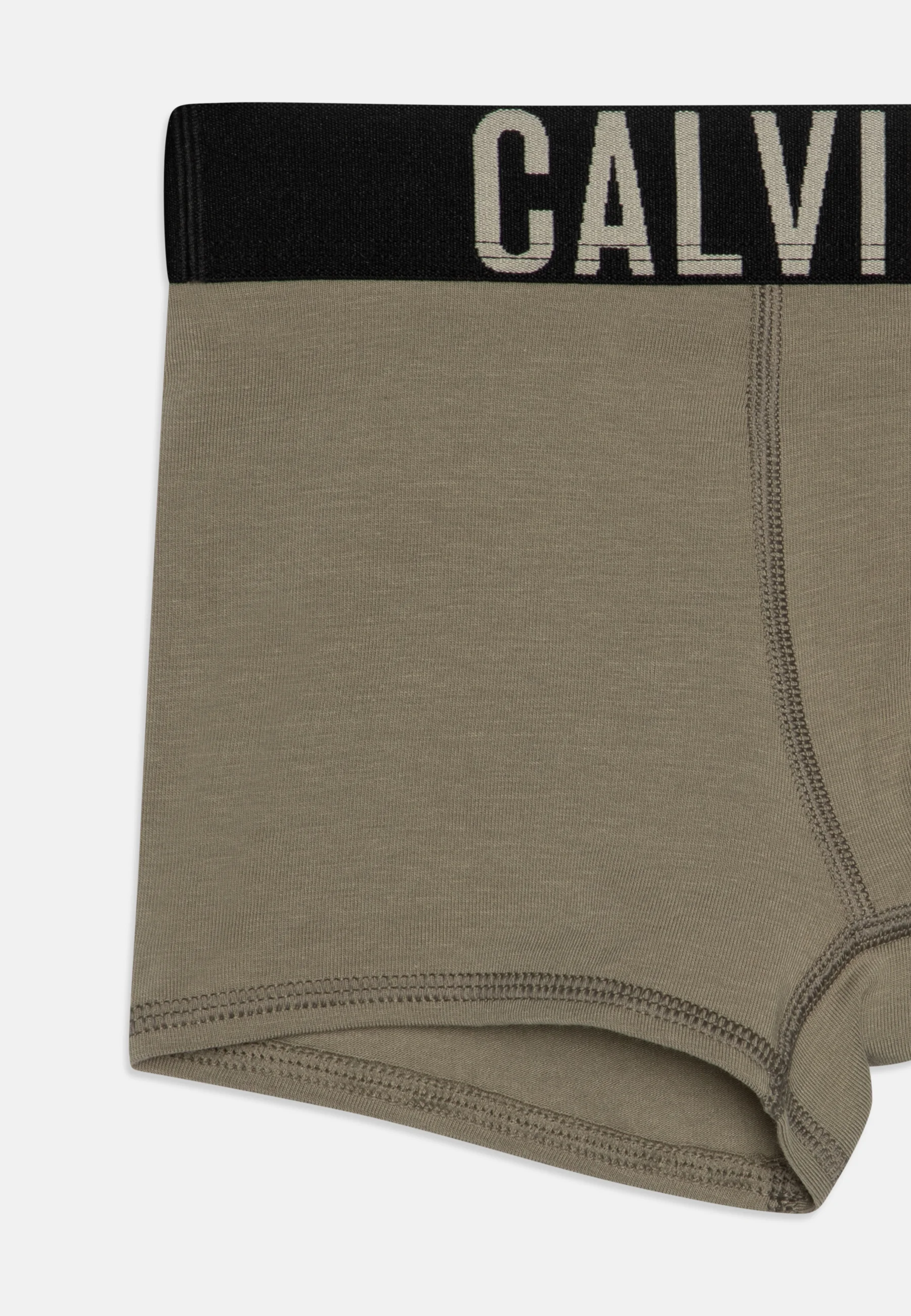 Calvin Klein Underwear TRUNK PACK DE 2 - Culotte