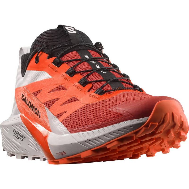 Salomon SENSE RIDE 5 Laufschuhe Herren