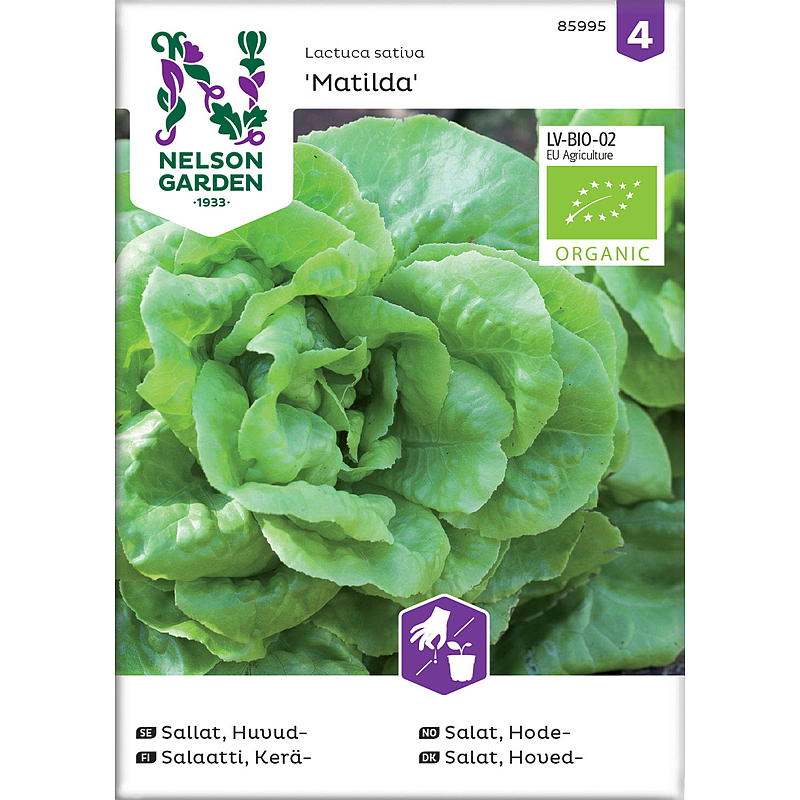 Nelson garden Frø Salat Hode-, Matilda, organic