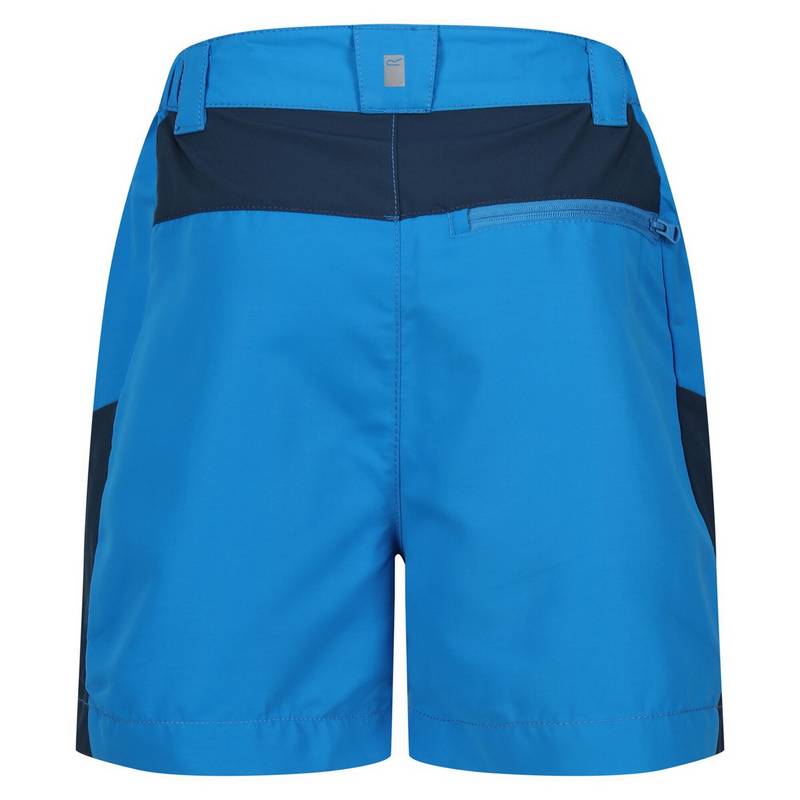 Regatta Sorcer Mountain III Shorts Kinder