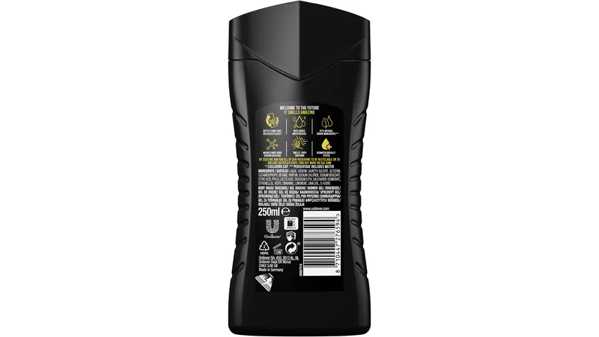 Axe Duschgel Alaska 250 ml 250 ml