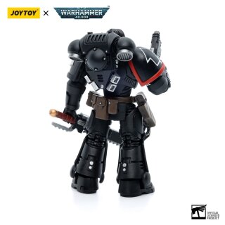Warhammer 40k Actionfigur: Raven Guard Intercessors - Brother Colvane