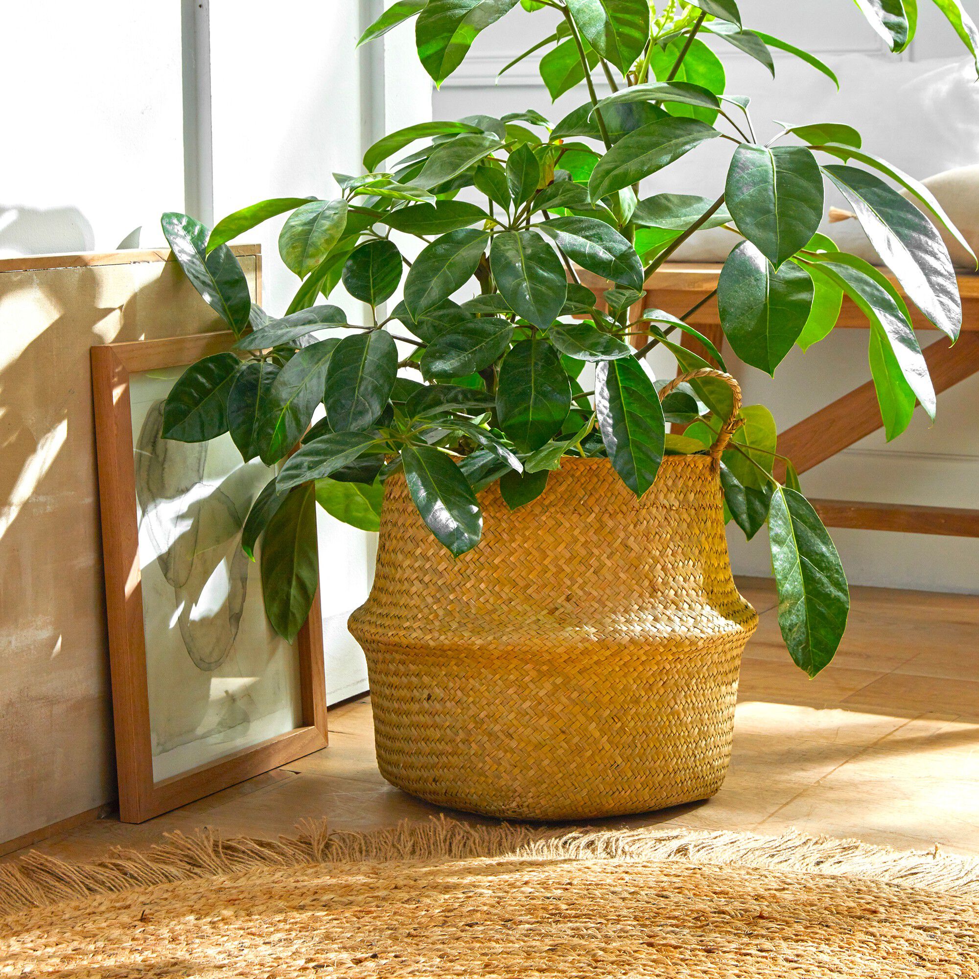 Panier pliable jonc de mer