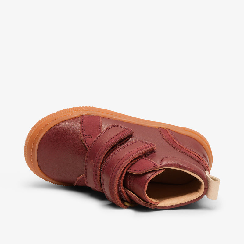 cuba rhubarb - Rot