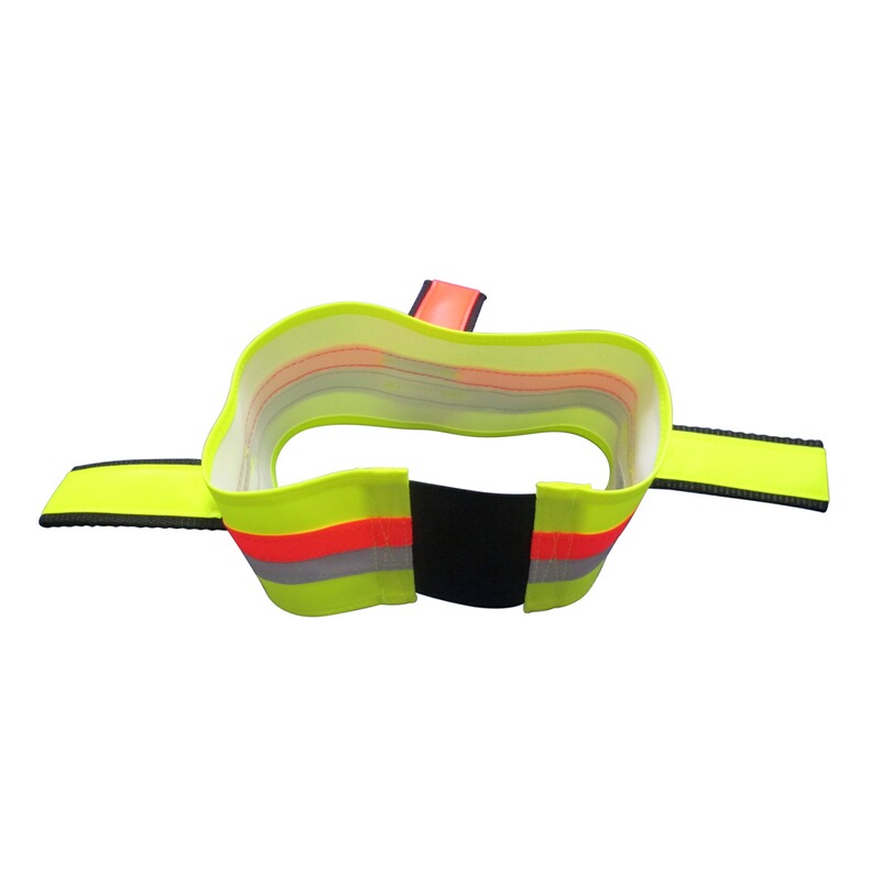 Heim Hundesignalhalsband mit Fähnchen