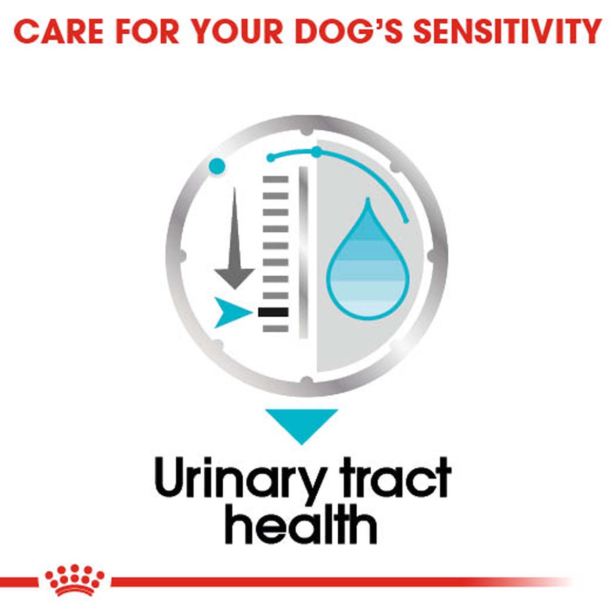 ROYAL CANIN Urinary Care Nassfutter für Hunde mit empfindlichen Harnwegen 12x85g