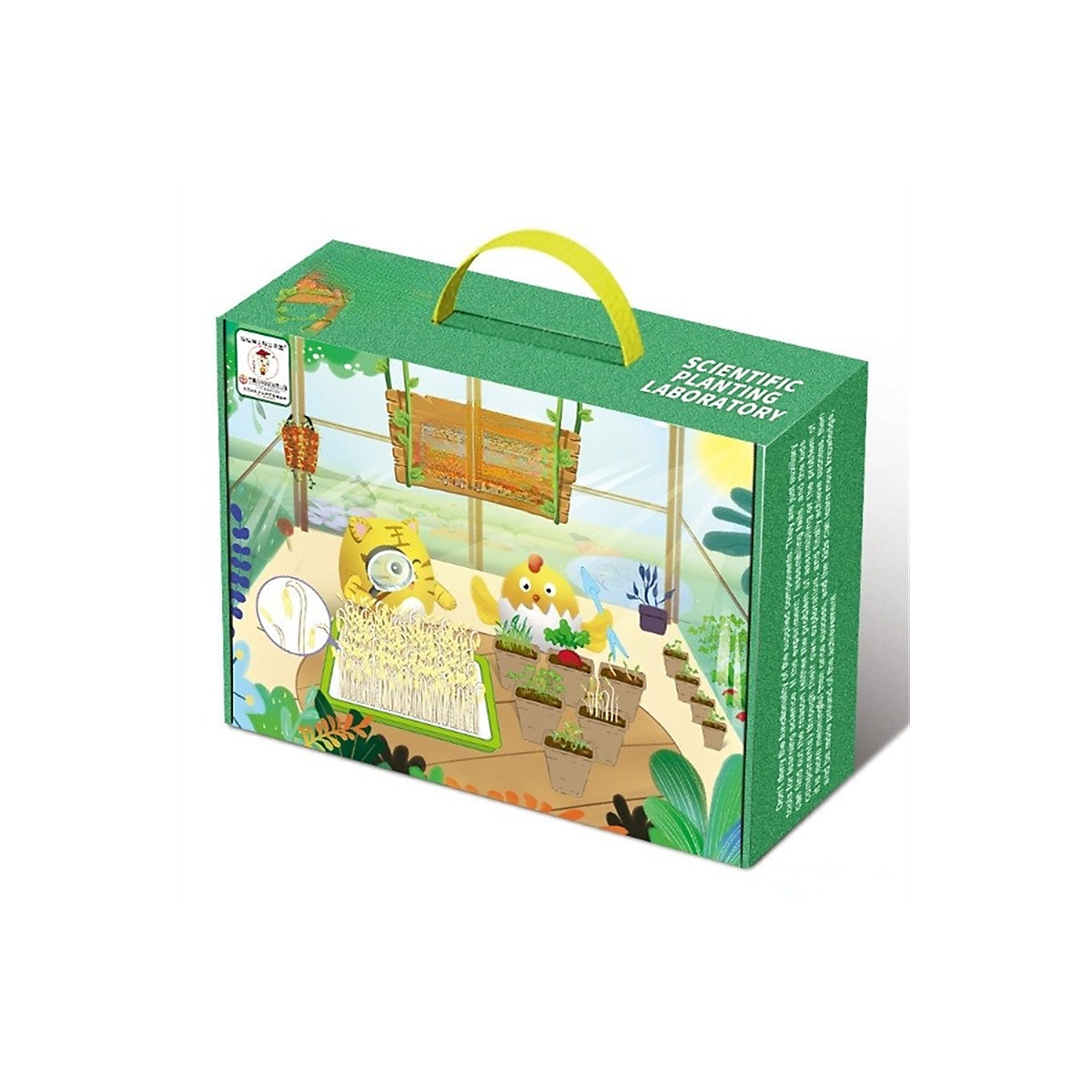 DIY Topfpflanzen Spielzeug für Kinder Experimentierset Pflanzenkunde für Kinder Experimentierkästen