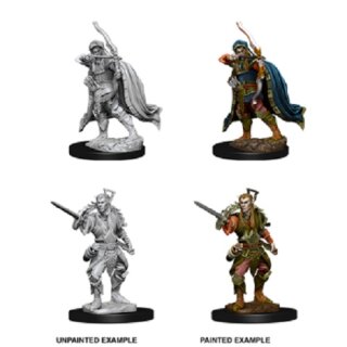 Male Elf Rogue: Nolzurs Marvelous Unpainted Minis