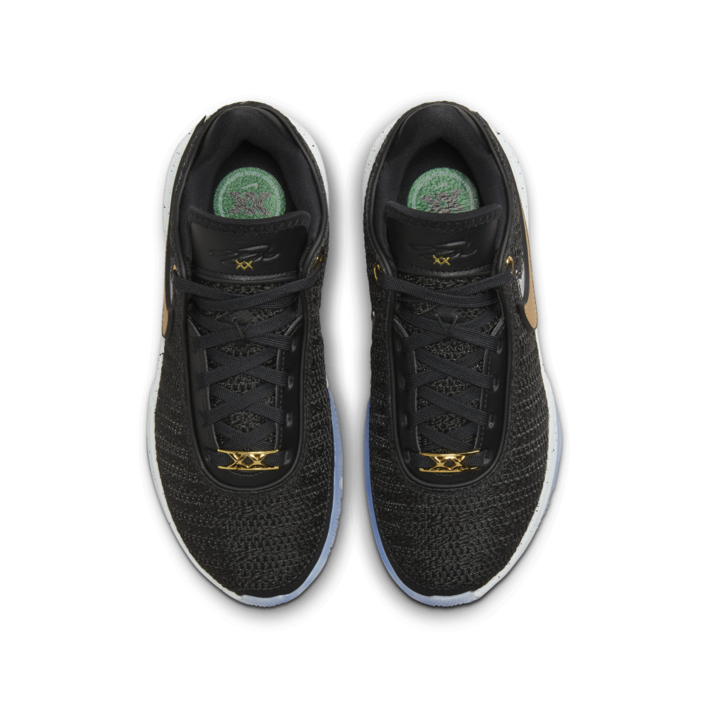 Nike Lebron Xx DQ8651-003 / schwarz