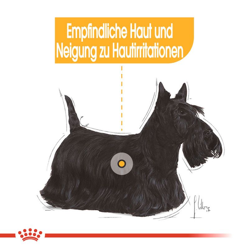 Royal Canin Dermacomfort Mousse