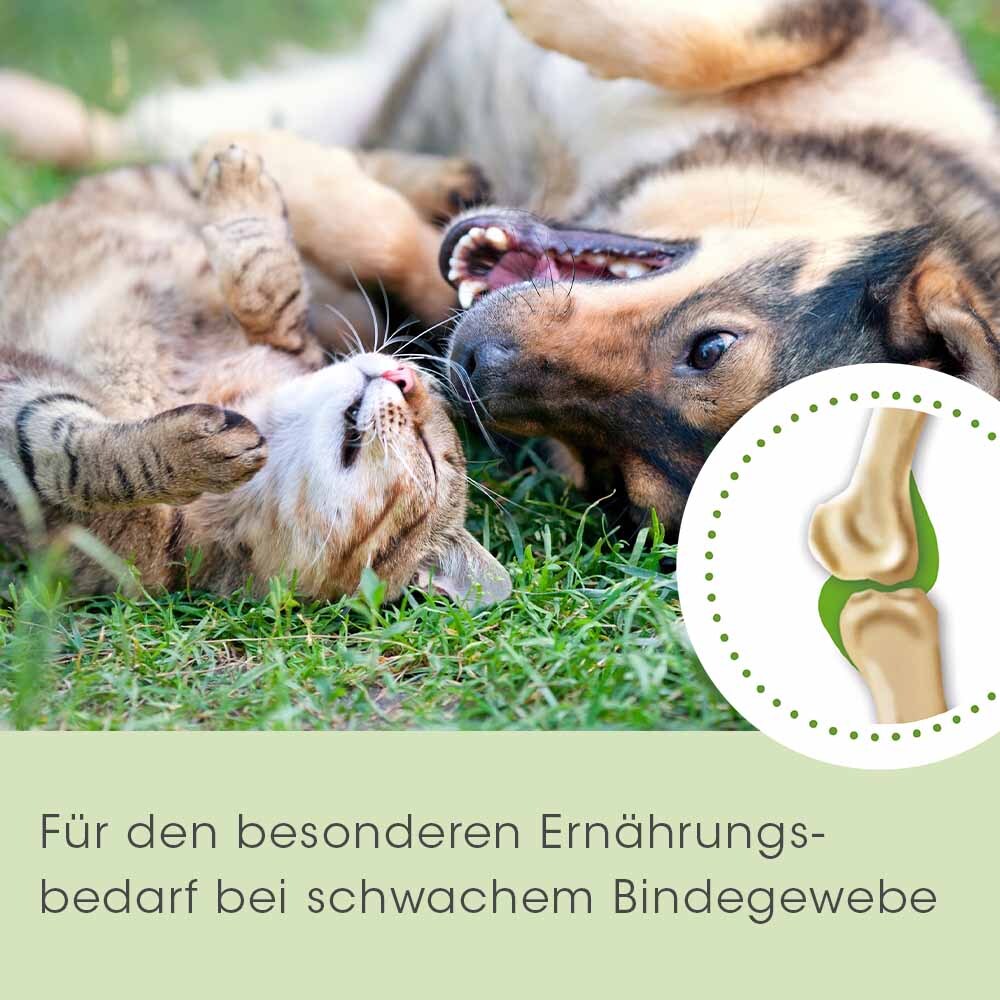 ArthroGreen Ergänzungsfutter & Aufzucht ArthroGreen Collagen 300 g