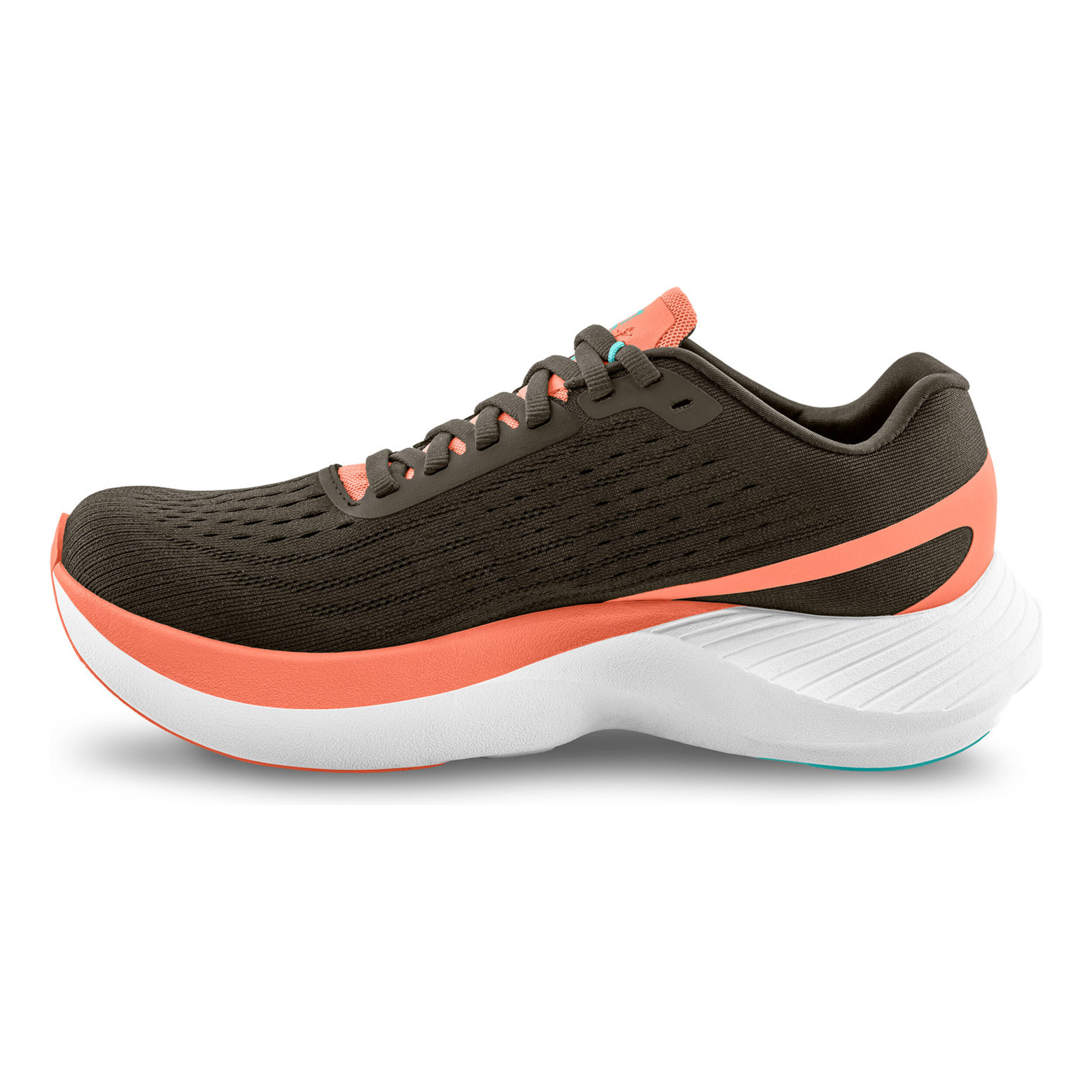 Specter Wettkampfschuh Damen - Schwarz, Beige