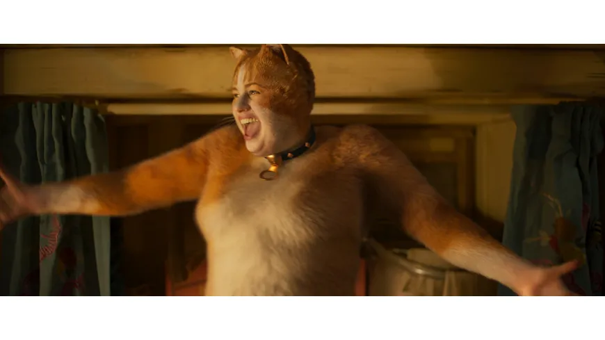 Cats