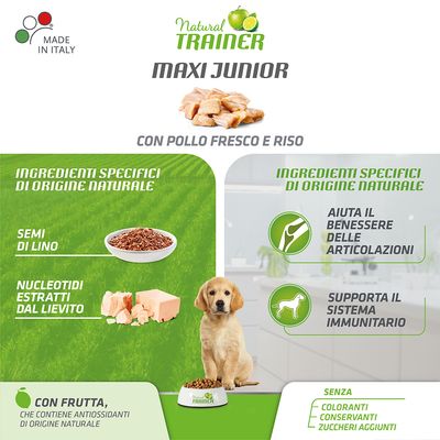Nova Foods Trainer Natural Junior Maxi