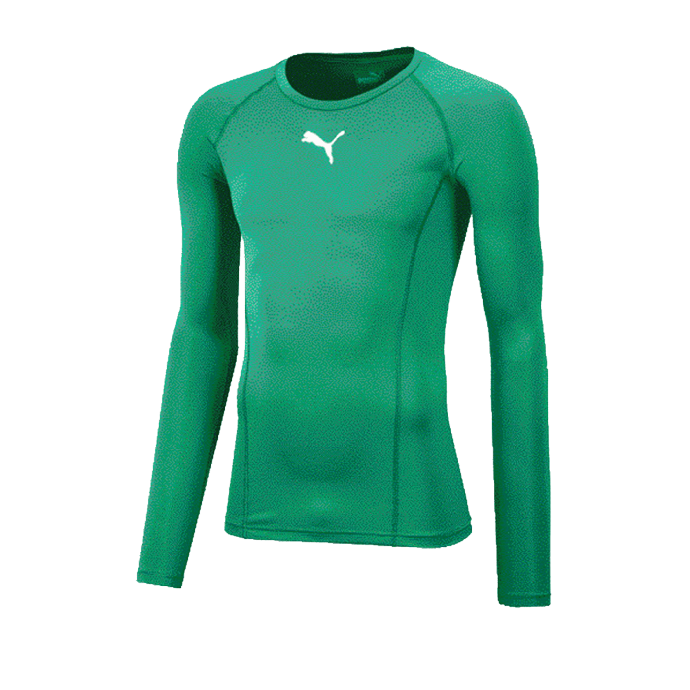 PUMA LIGA Baselayer Longsleeve Grün F05