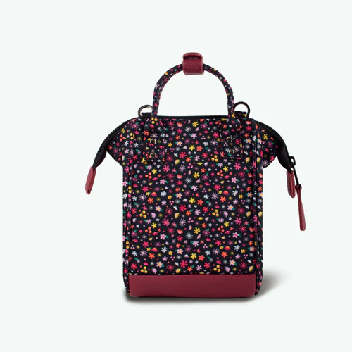 Nano Adventurer Lausanne raspberry
