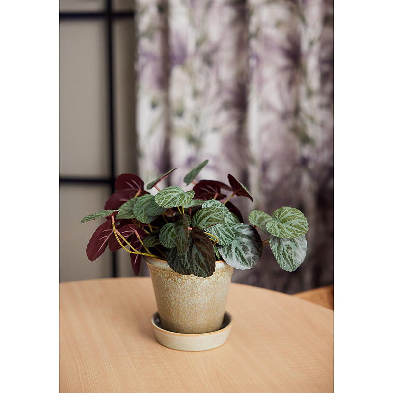 Home Grønnplante 25 cm m/kurv
