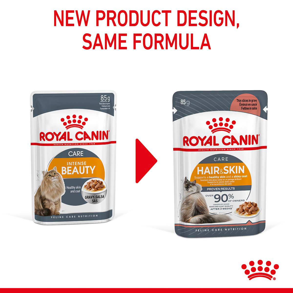 Royal Canin FCN Hair & Skin Gravy günstig kaufen