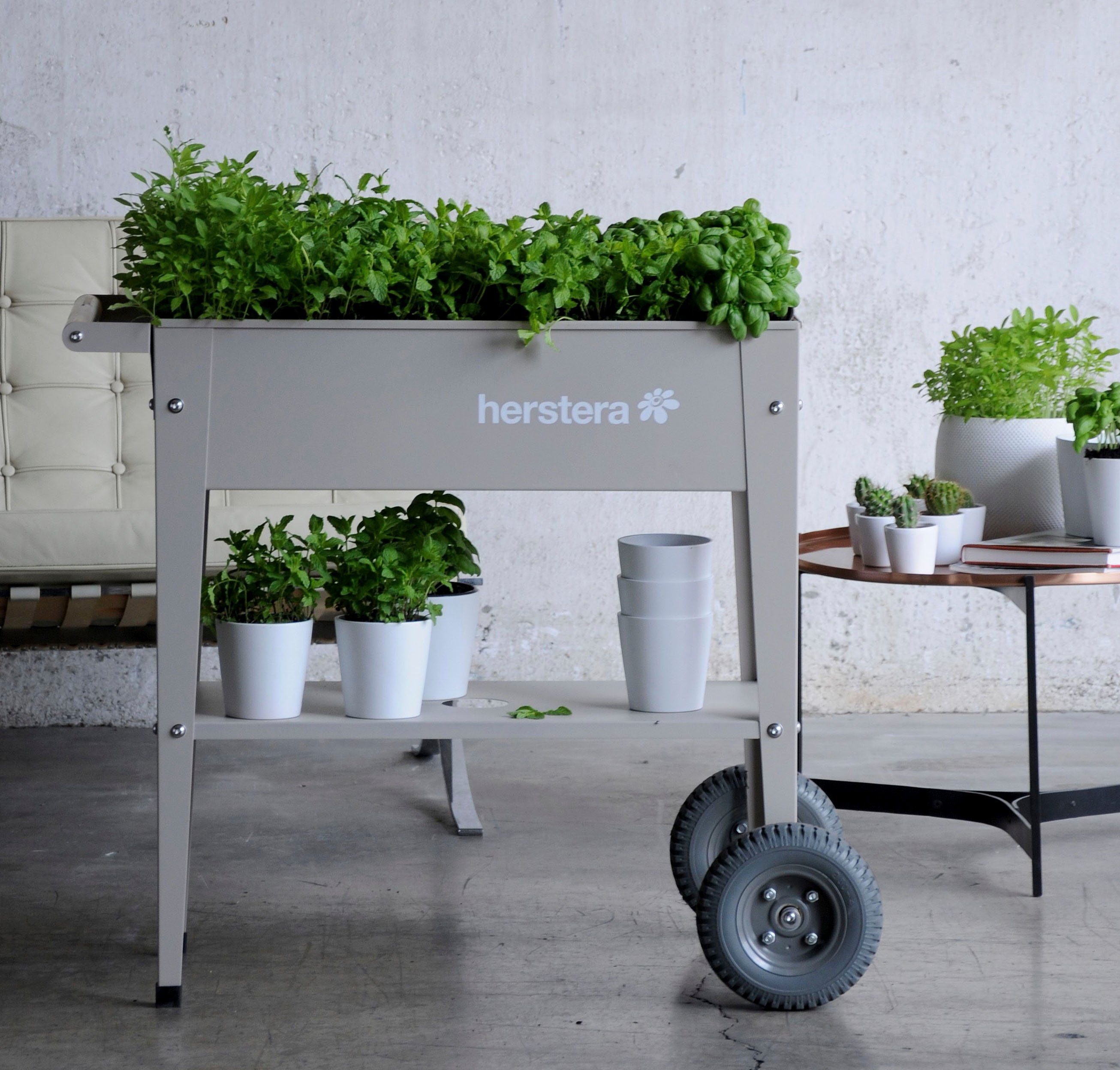 Herstera Garden Hochbeet Barcelona Liso, BxTxH: 75x35x80 cm