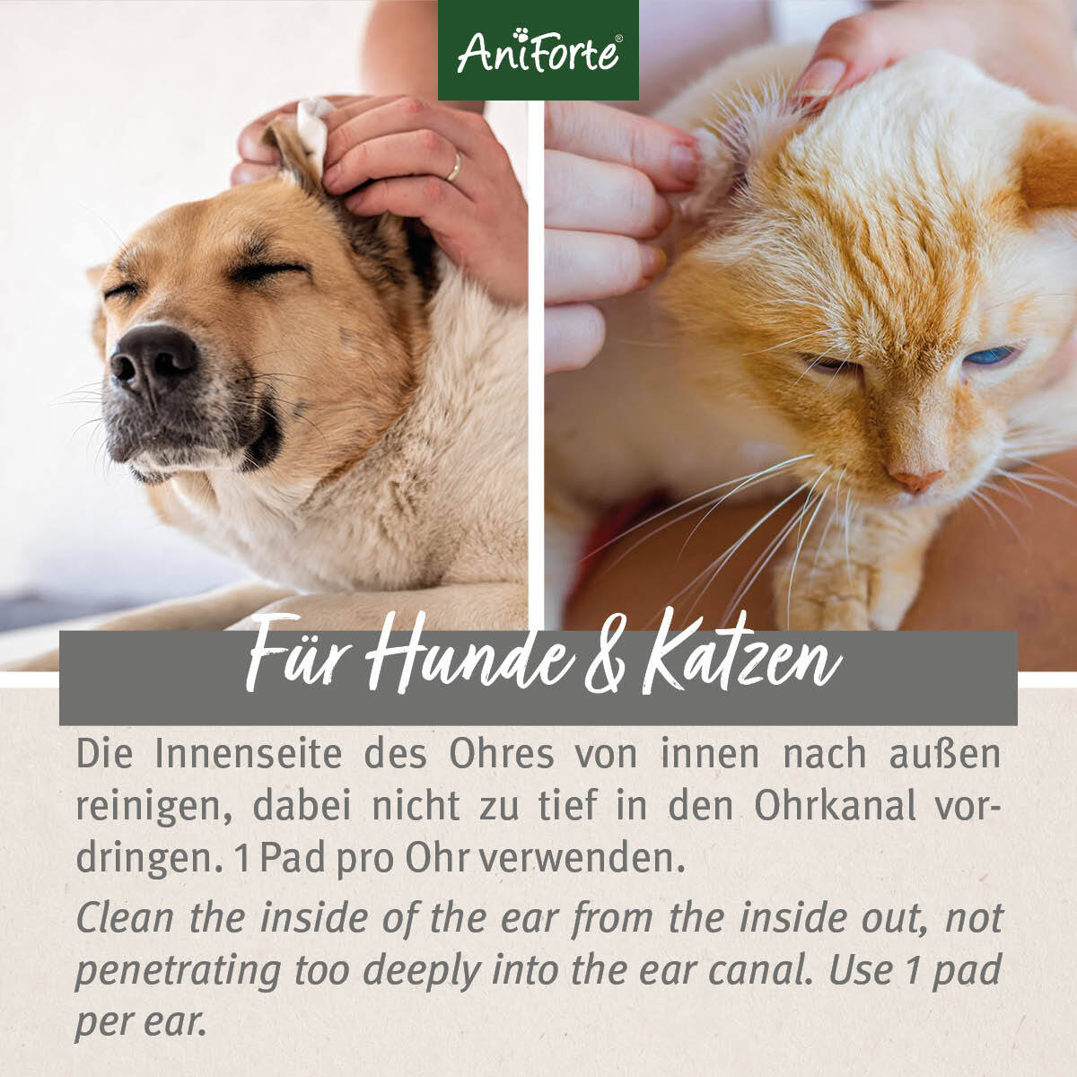Aniforte Augen- & Ohrenpflege Aniforte Ohren-Reinigungspads Ohrenpflege Pads 100 Stück