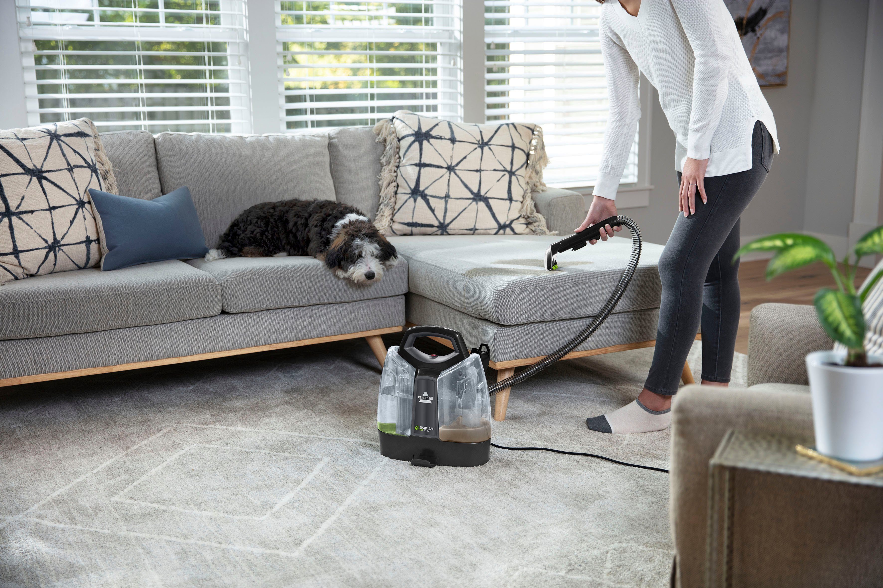Bissell Nass-Trocken-Sauger Spotclean Pet Select, 330 W, beutellos