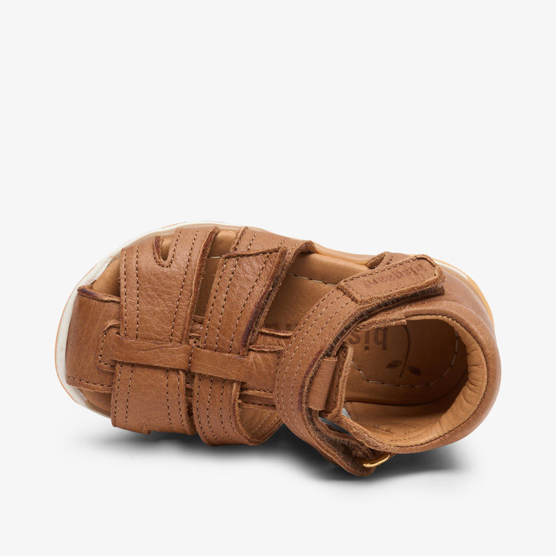 anni cognac - Braun