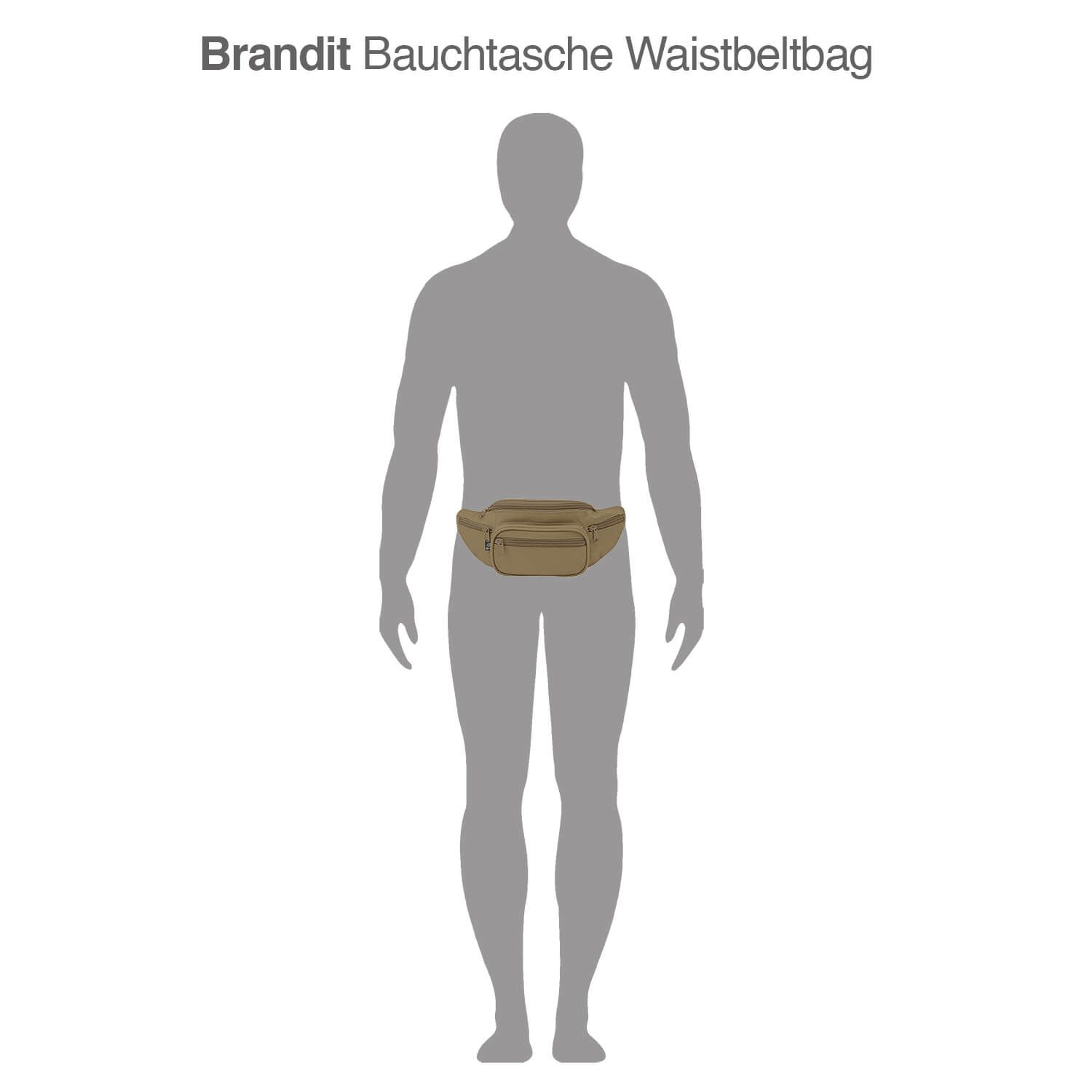 Bauchtasche Waistbeltbag