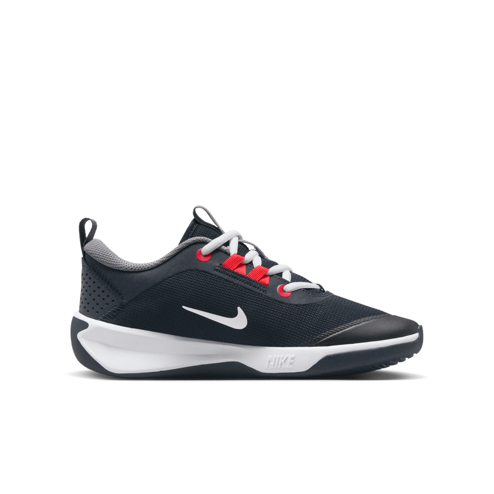 Nike Omni Multi Court DM9027-402 / blau