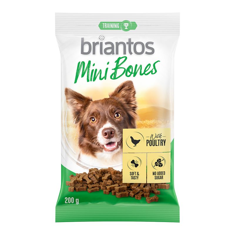 Briantos Mini Bones für Hunde