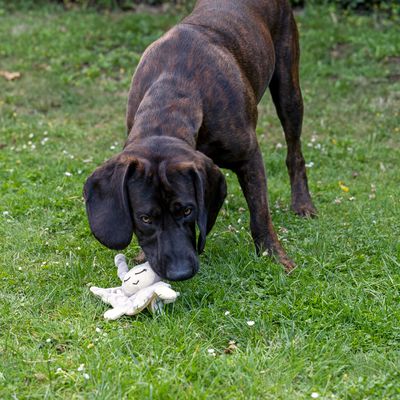 TIAKI Hundespielzeug Eule Dou Dou