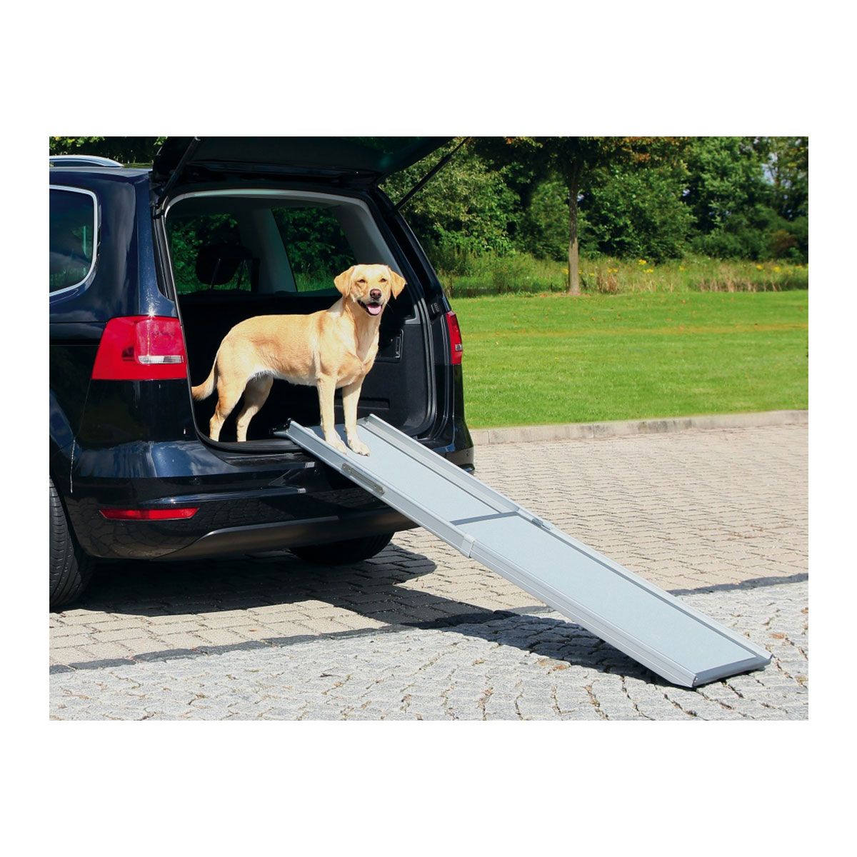 Trixie Petwalk Aluminium Teleskop-Rampe 100 - 180 cm bei ZooRoyal